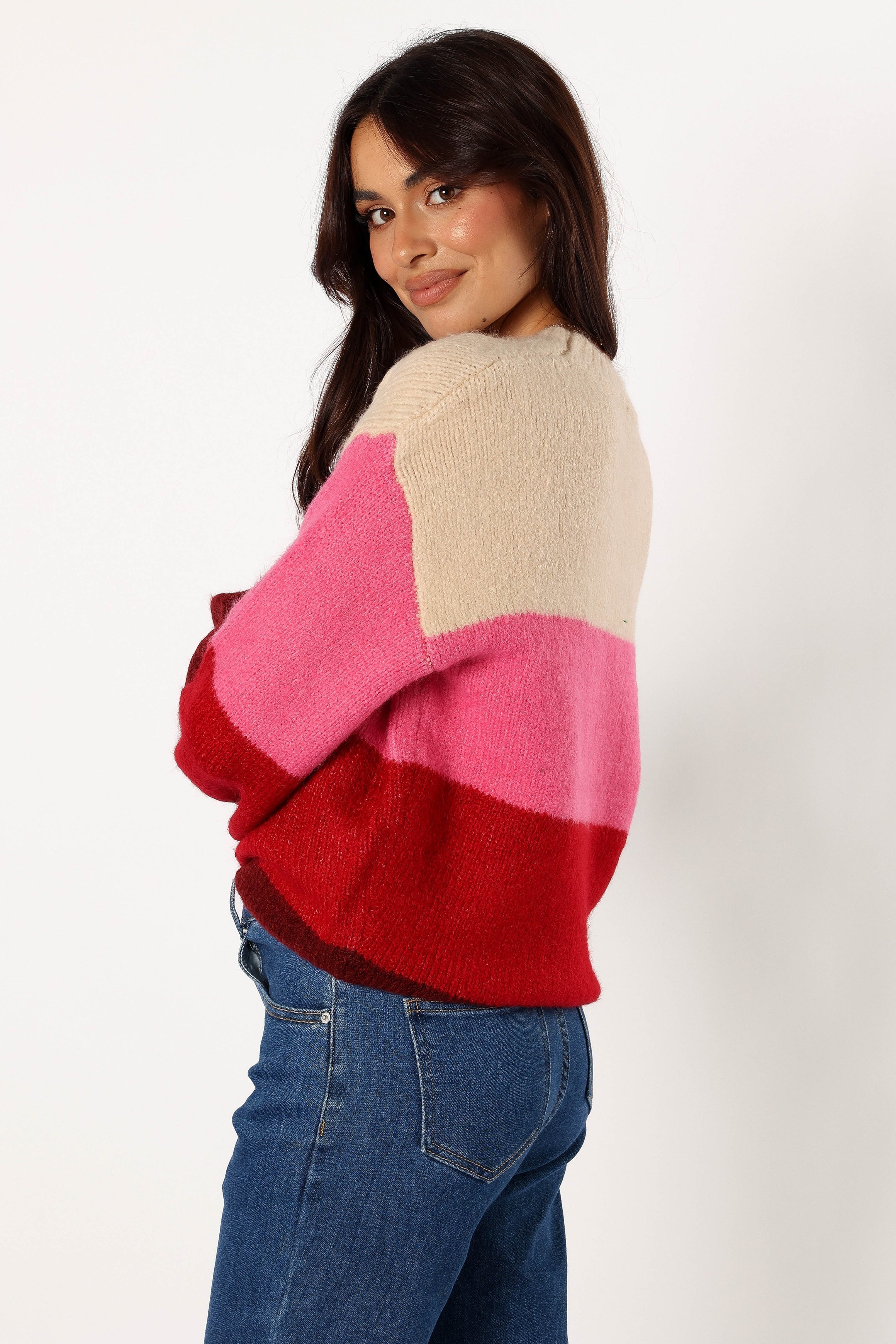 Giovanna Crewneck Multi Stripe Knit Sweater - Berry