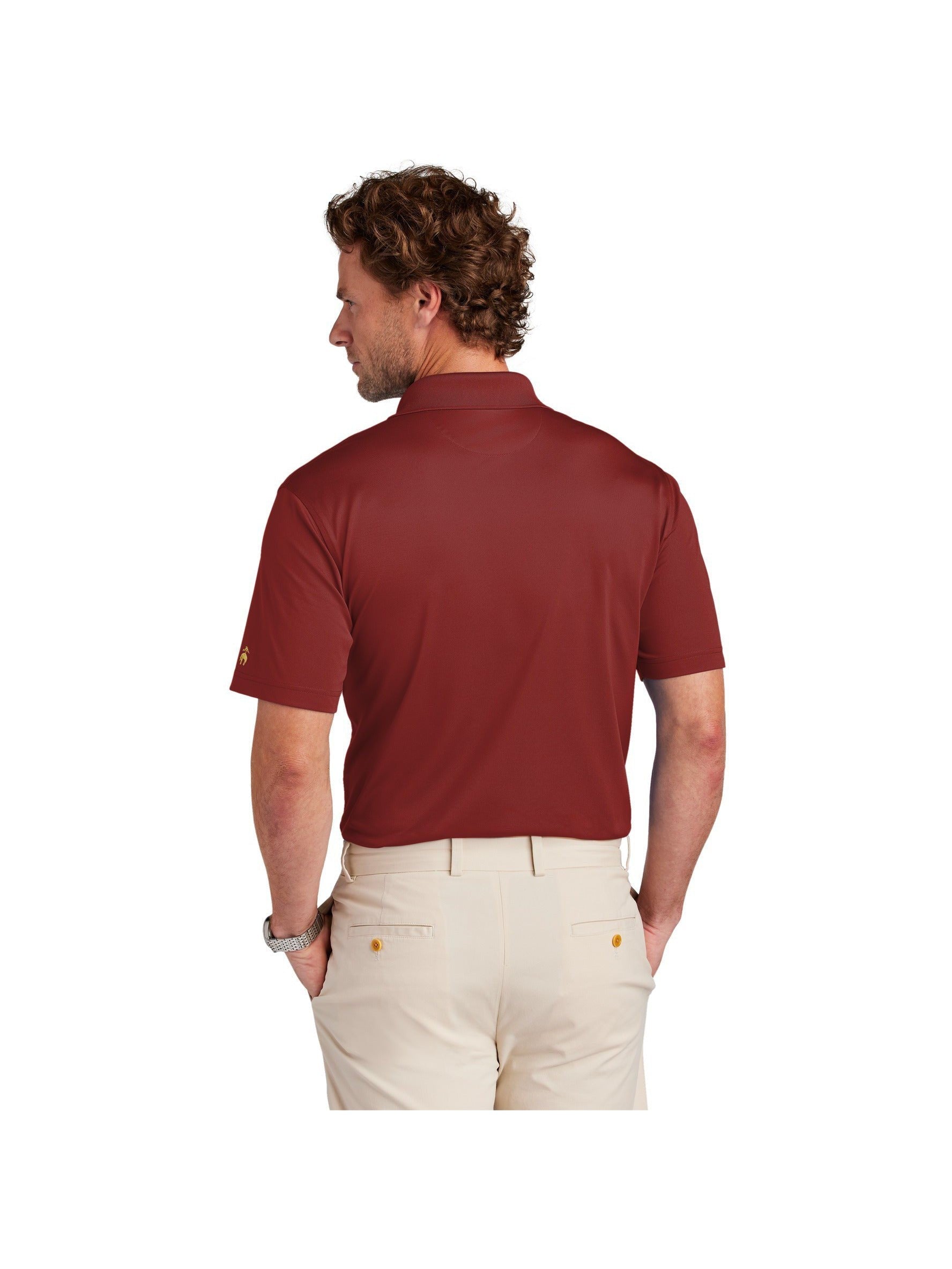 Brooks Brothers Mesh Pique Performance Polo